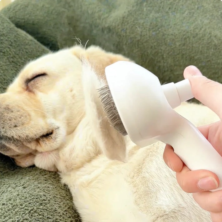 Cepillo Vaporizador para mascotas 🐶😺