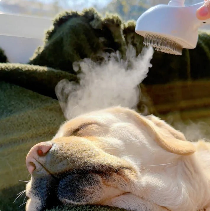 Cepillo Vaporizador para mascotas 🐶😺